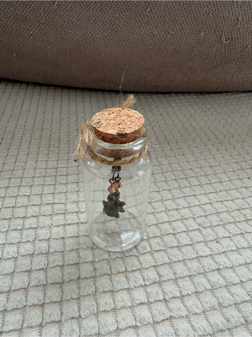 Turtle Earrings in Glass Cork Jar Bottle